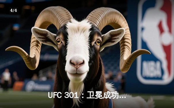 UFC 301：卫冕成功，亚历克斯·佩雷拉TKO乔恩·琼斯引爆巴西狂欢夜 - 4