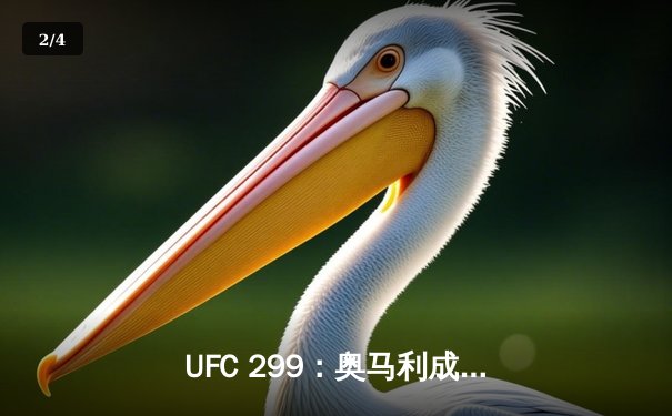 UFC 299：奥马利成功卫冕雏量级金腰带，精彩对决引爆迈阿密 - 2