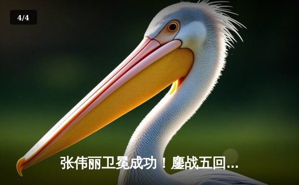 张伟丽卫冕成功！鏖战五回合分歧判定险胜闫晓楠，兑现中国德比承诺 - 4