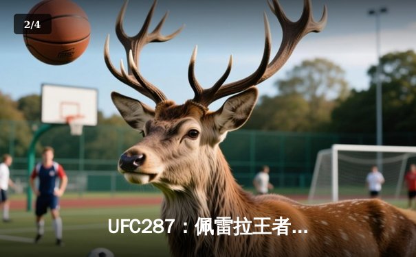 UFC287：佩雷拉王者宝座未稳 阿迪萨亚左拳弑神重夺王冠 - 2