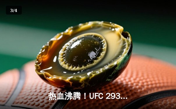 热血沸腾！UFC 293中国力量崛起，苏木达尔基首回合TKO创历史 - 3