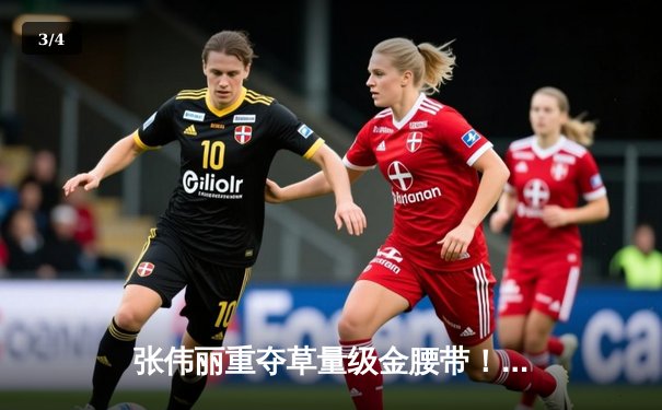 张伟丽重夺草量级金腰带！鏖战五回合分歧判定击败埃斯帕扎 - 3